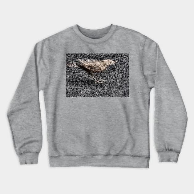 Blending In Crewneck Sweatshirt by PictureNZ